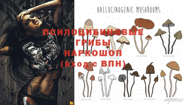 MESCALINE Алексин