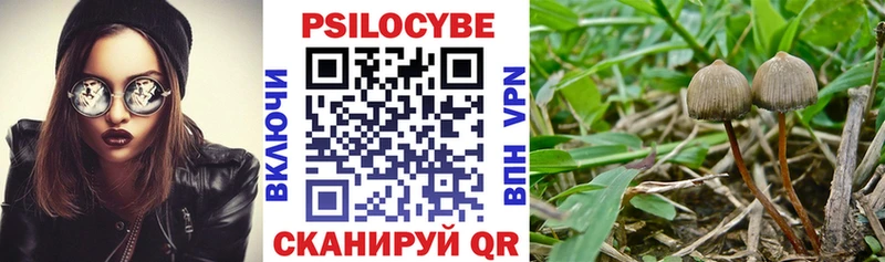 кракен онион  сайты даркнета Telegram  Псилоцибиновые грибы Psilocybe  Киров 
